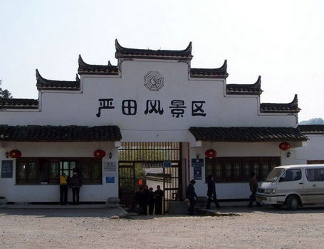 嚴田古樟