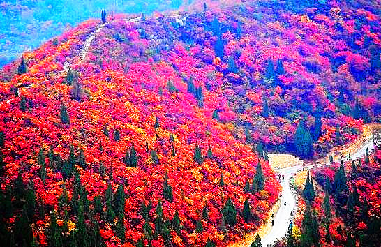 長壽山
