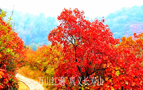 長壽山