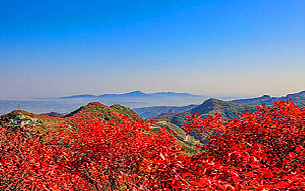 長壽山
