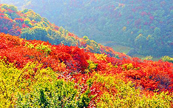 長壽山