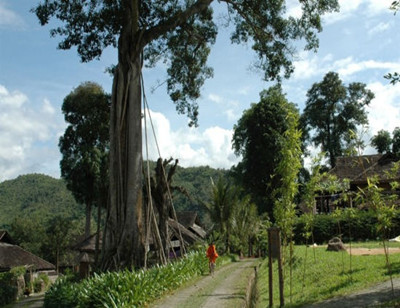 普洱國家森林公園